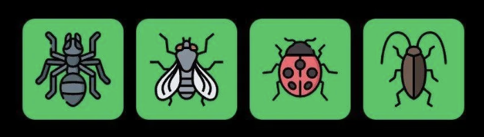 FLIES Daily Combo 20 May 2025